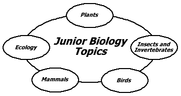 Choose your topic here