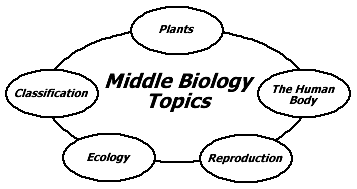 Choose your topic here